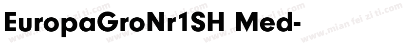 EuropaGroNr1SH Med字体转换